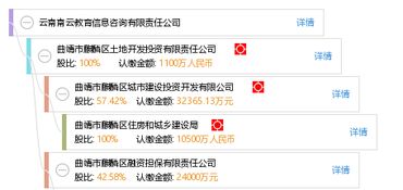 云南南云教育信息咨詢有限責(zé)任公司 專業(yè)引領(lǐng)，助力教育夢(mèng)想啟航