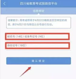 2019年四川省高考成績(jī)查詢攻略